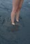 Feet Buried in Sand at Beach