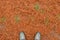 Feet among fall rusty foliage