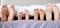 Feet of family lying in bed. Closeup of feet of parents and children in bed. Family relaxing in bed together. Below bare