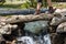 Feet of female hiker on bridge