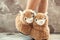 Feet female wearing llama trendy slippers soft pastel colours beige