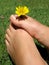 Feet Flower