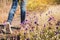 Feet of girl walking in beautiful flower filed