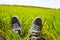 Feet grass. Crazy Feet in sneakers in green grass in sunny day. Relaxing time. Restful moment. Healthy lifestyle. Fresh