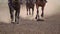 The Feet of the Horses at the Racetrack