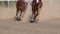 The feet of the horses at the racetrack