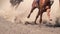 The Feet of the Horses at the Racetrack