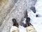 Feet of Hunter or fisherman in big warm boots on a winter day on snow. Top view. Fisherman on the ice of a river, lake