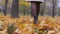 Feet Lady In Pantyhose And Black Boots Is On The Autumn Carpet Of Yellow Foliage