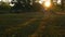 Feet legs walks on colorful red green autumn grass rear view. Calves of a child in sneakers forest walking. Kid running