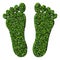 Feet made from green leaves isolated on white background. 3D render.