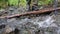 The feet of a man in shoes walk over stones in water.