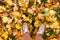 Feet of a man standing on golden fallen leaves first person view