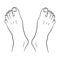 Feet men top view from the contour black lines white of illustration