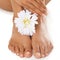 Feet, nails and beauty with woman and flower in skincare closeup, pedicure with hands and manicure spa treatment