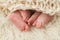 Feet of Newborn Baby Twins