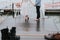 Feet of the newlyweds on the background of the pier.The bride and groom go barefoot along the wharf