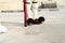 Feet of parliament guard, Tsarouhi, Greece