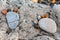 Feet Pebble stones at the beach