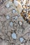 Feet Pebble stones at the sea