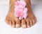 Feet, pedicure and spa treatment with flowers and skincare ready for wellness and foot massage. Black woman, floral and