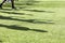 The feet of the players of Paok with their shadows during team p