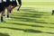 The feet of the players of Paok with their shadows during team p