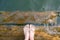 Feet and Purple Pedicure of Woman in Green Water, Top view. Beautiful Asian Young Female Body Legs and Barefoot on a Wooden Bridge