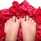 Feet and rose-petals