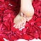 Feet and rose-petals