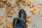 Feet stepping on dry autumn leaves