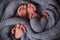 Feet of three newborn babies in a soft blanket. Heart in the legs of newborn triplets. Studio photography.