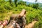 Feet of two people on ephant\'s head in jungle