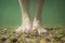 Feet underwater on stoney and muddy ground