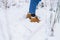 Feet in yellow, orange boots, legs in blue jeans in snow. Hike, outdoor recreation. Girl, woman walks in beautiful winter forest