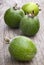 Feijoa fruits (Acca sellowiana)