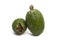 feijoa green fruit isolated