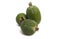 feijoa green fruit isolated