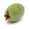 Feijoa or pineapple guava