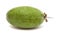 Feijoa or pineapple guava