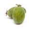 Feijoa or pineapple guava