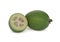 Feijoa (Pineapple Guava)
