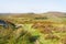 Feint path across Burbage Moor to a misty Carl Wark Fort