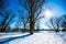 Feldmochinger See in winter, blue sky, sunshine