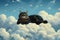 Felidae species, a carnivore, resting on a cumulus cloud in the sky
