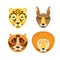 Feline animals portraits.. Leopard, lynx, lion and tiger