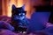 Feline Becomes A Nocturnal Digital Enthusiast, Embraces Hacker Identity