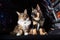 feline and canine astronaut explorers in space shuttle, floating among starry expanse