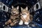 feline and canine astronaut explorers in space shuttle, floating among starry expanse