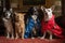 feline and canine fashion designer and model team up for runway show, with models dressed in elaborate fashions